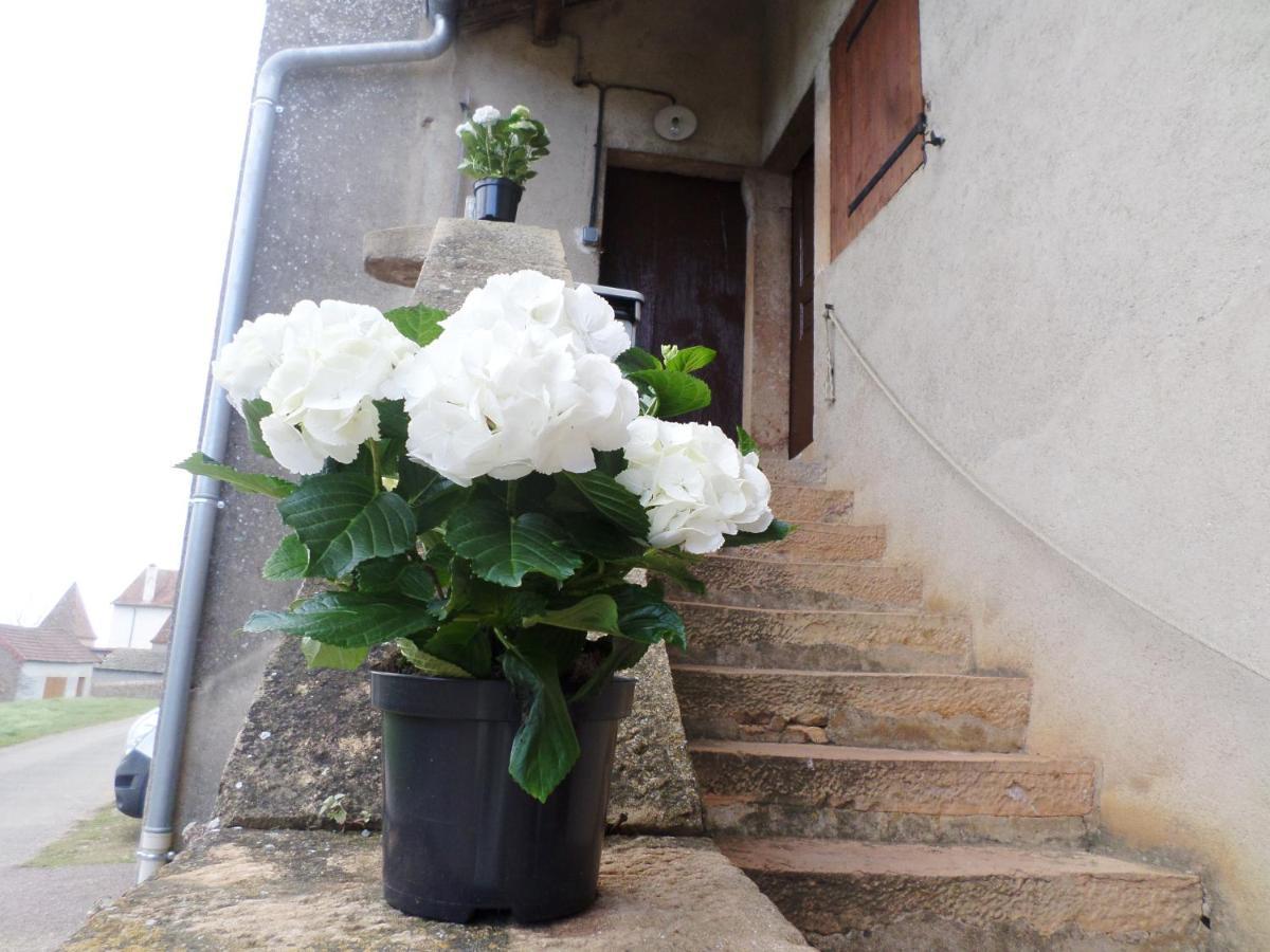 Les Marronniers Bed & Breakfast La Chapelle-sous-Brancion Ngoại thất bức ảnh
